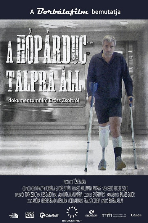 A Hópárduc talpra áll (2011) poster