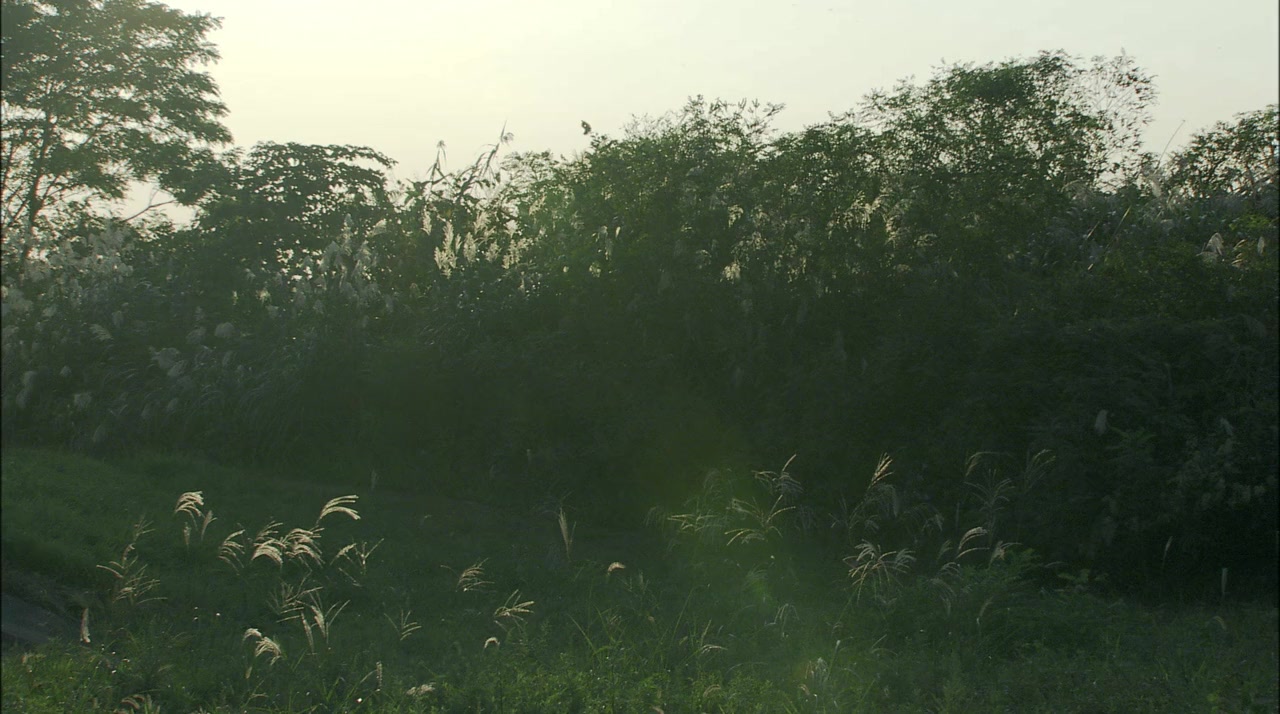 Sukida, screenshot 1