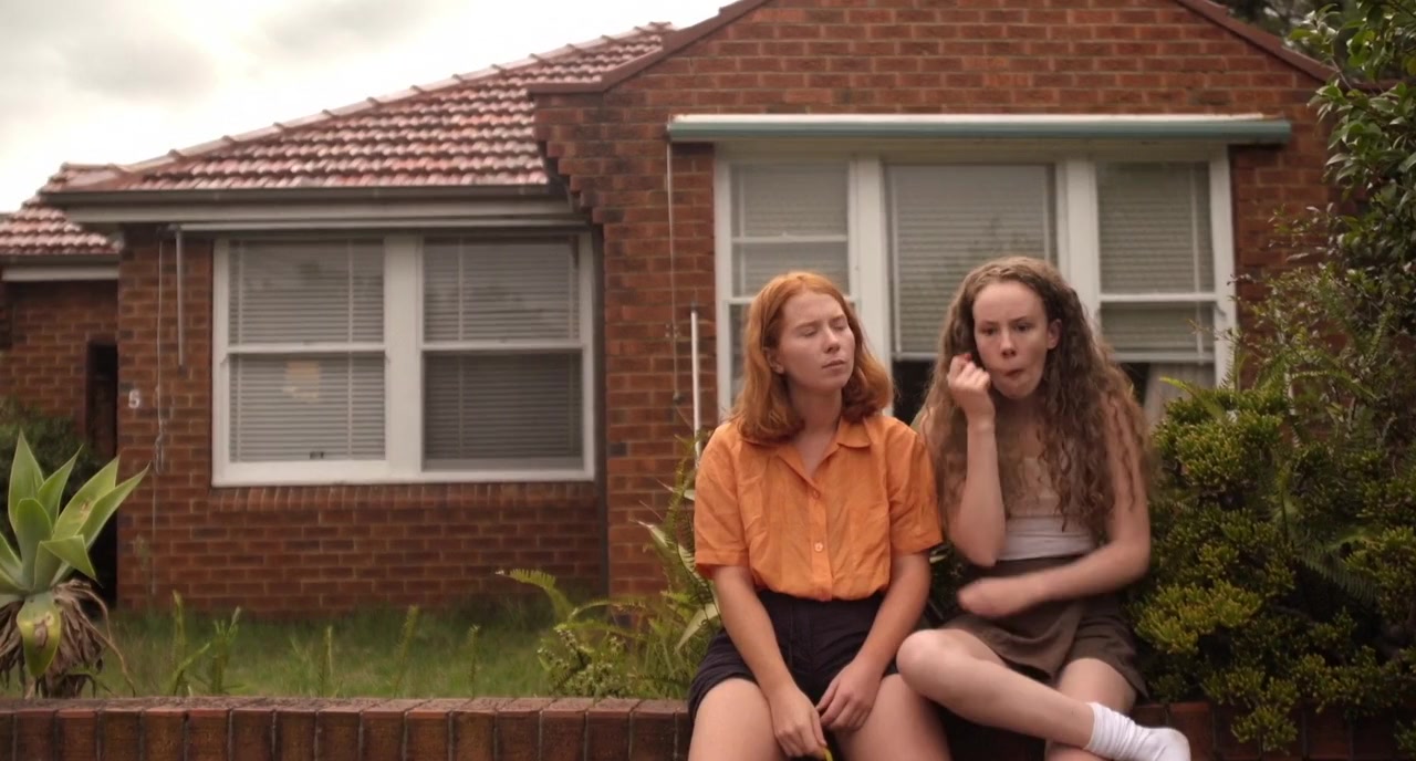 Suburban Wildlife screenshot 2