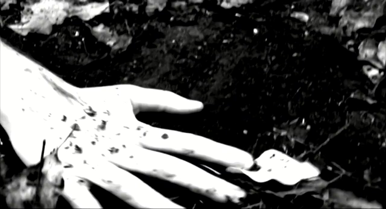 Suffering Bible screenshot 2