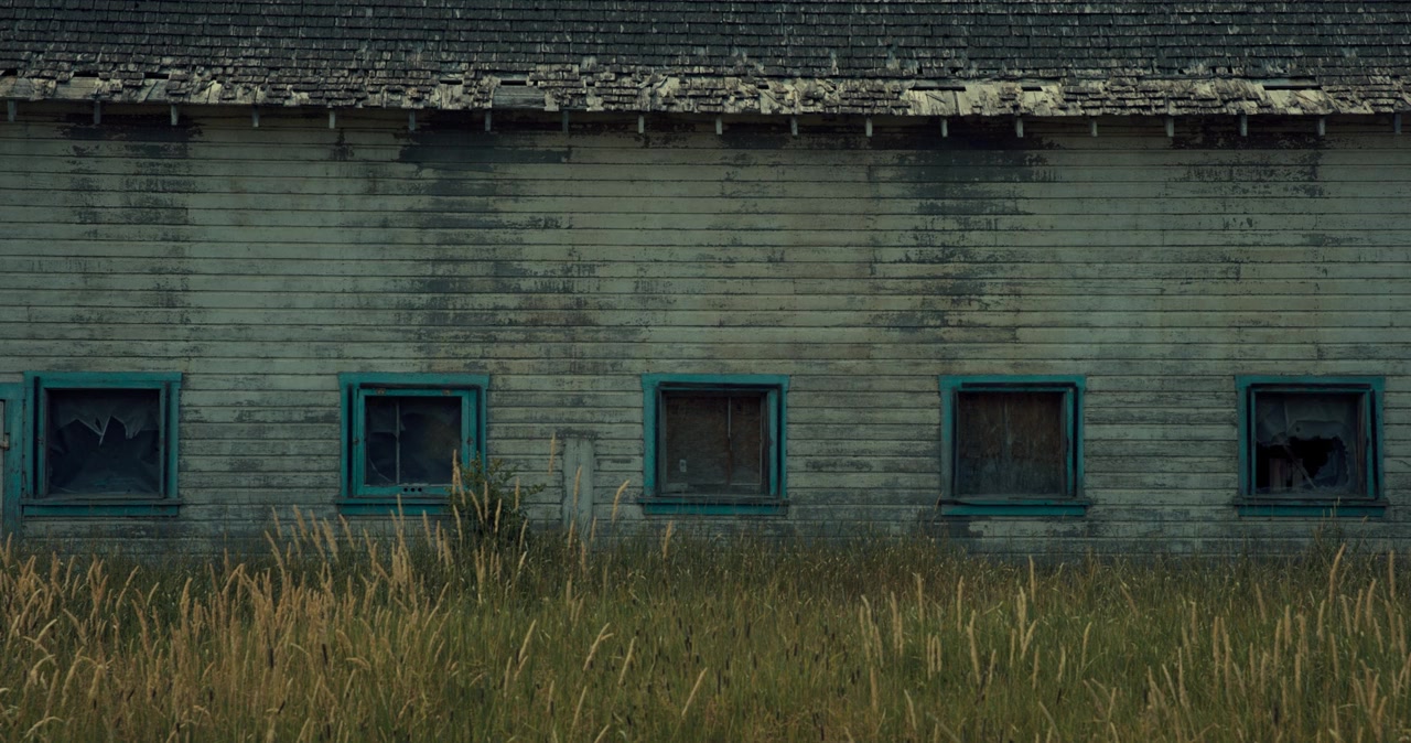 Sugarcane screenshot 1