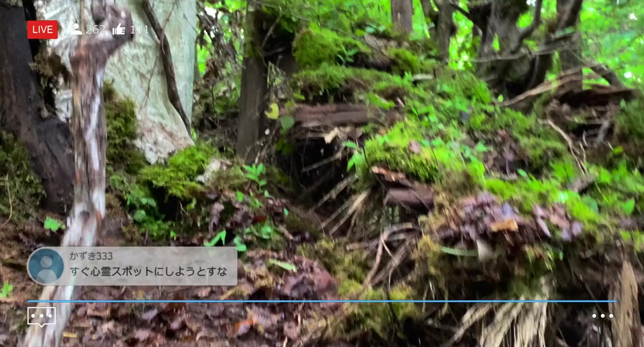 Jukai Mura screenshot 2