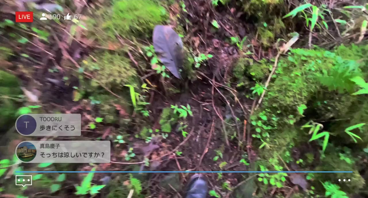 Jukai Mura screenshot 3