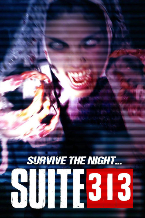 Suite 313 (2017) poster