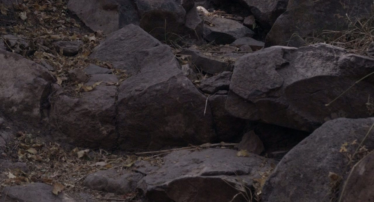 Sujo screenshot 2