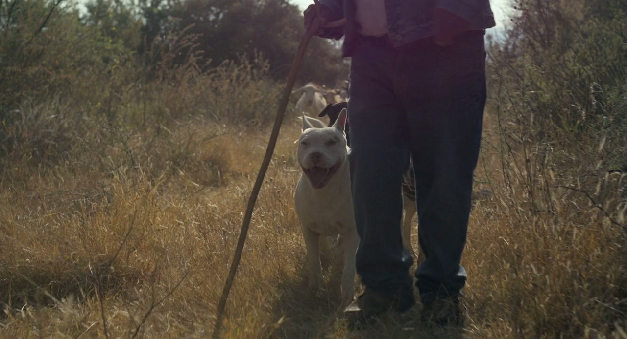 Sujo screenshot 3