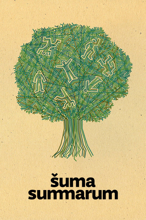 Suma summarum (2010) poster