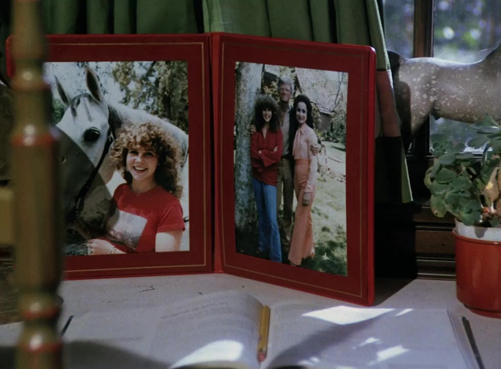 Stranger in Our House screenshot 3
