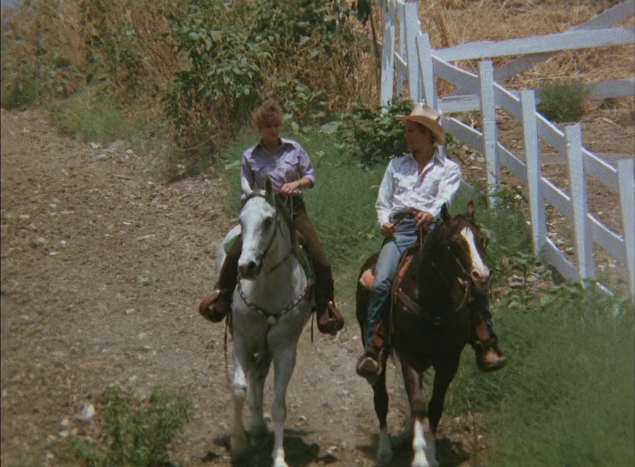 Summer of Fear screenshot 1