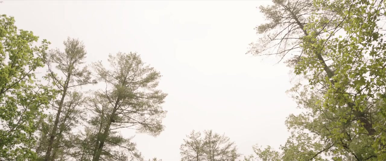 Summer Camp screenshot 1