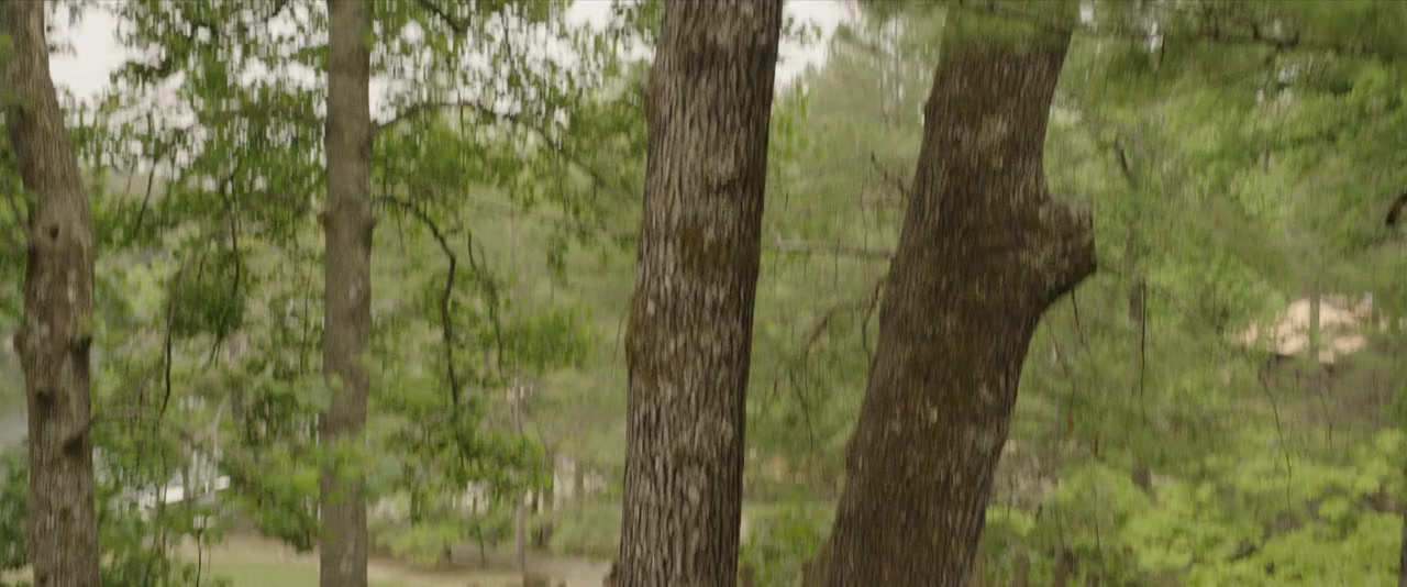 Summer Camp screenshot 3