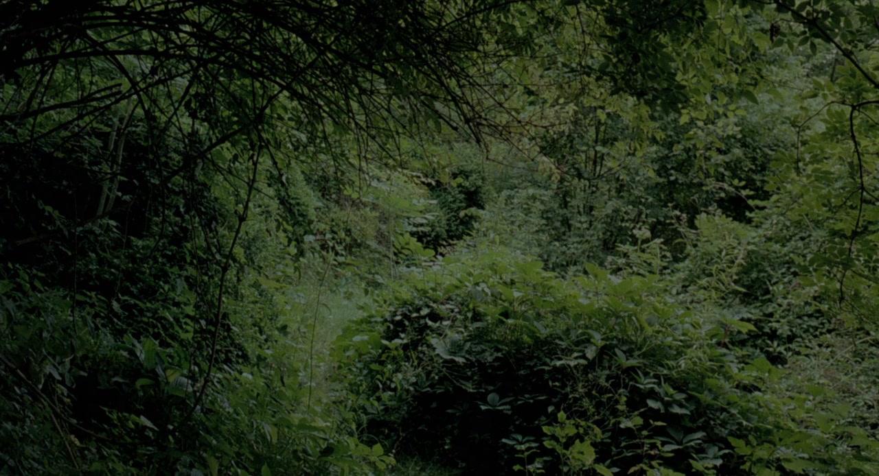 L'heure d'été screenshot 2