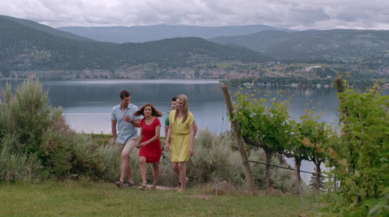 Summer in the Vineyard screenshot 2