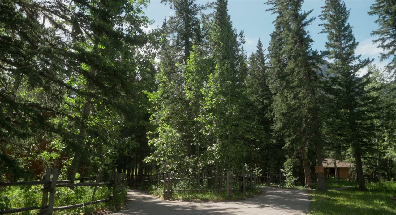 Summer Qamp screenshot 1