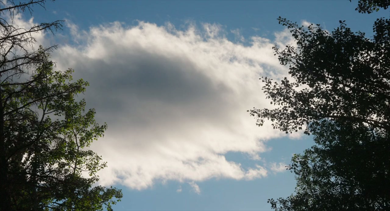 Summer Qamp screenshot 2