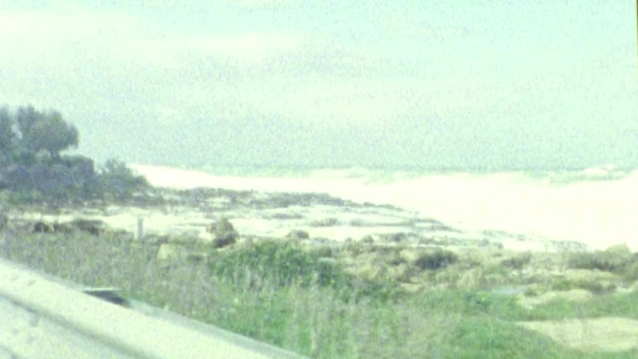 Summer '82: When Zappa Came to Sicily screenshot 3