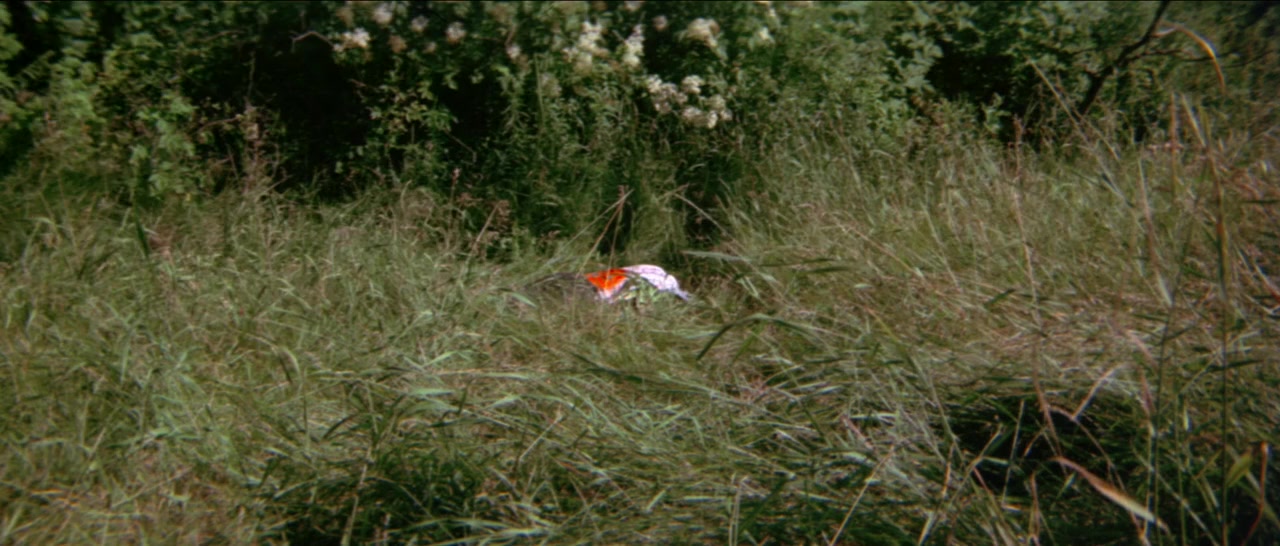 Sunday in the Country screenshot 1