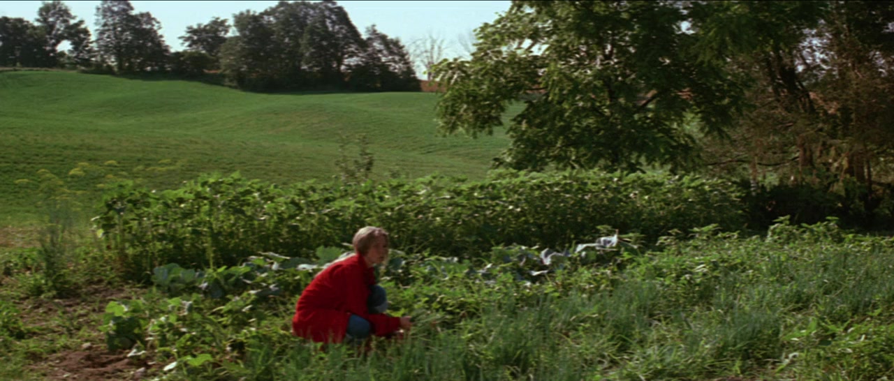 Sunday in the Country screenshot 2
