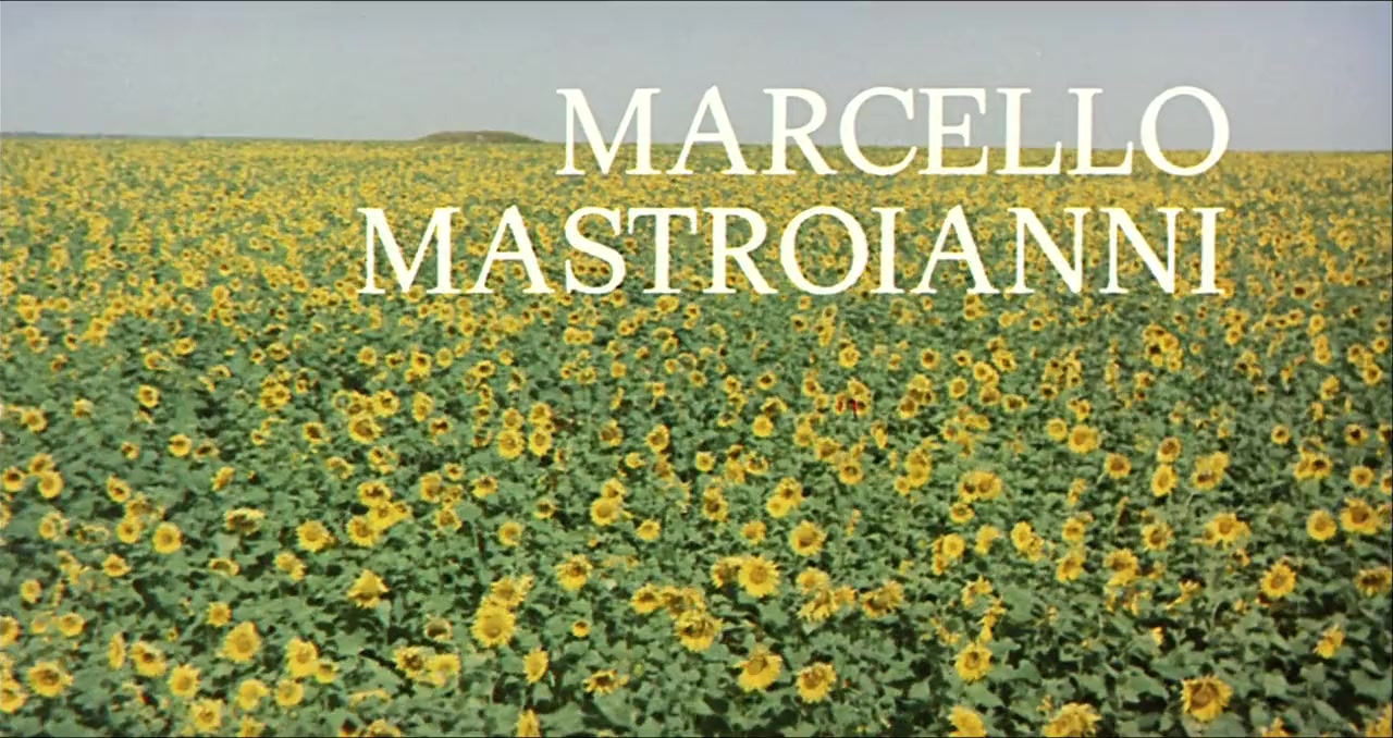 I girasoli screenshot 2
