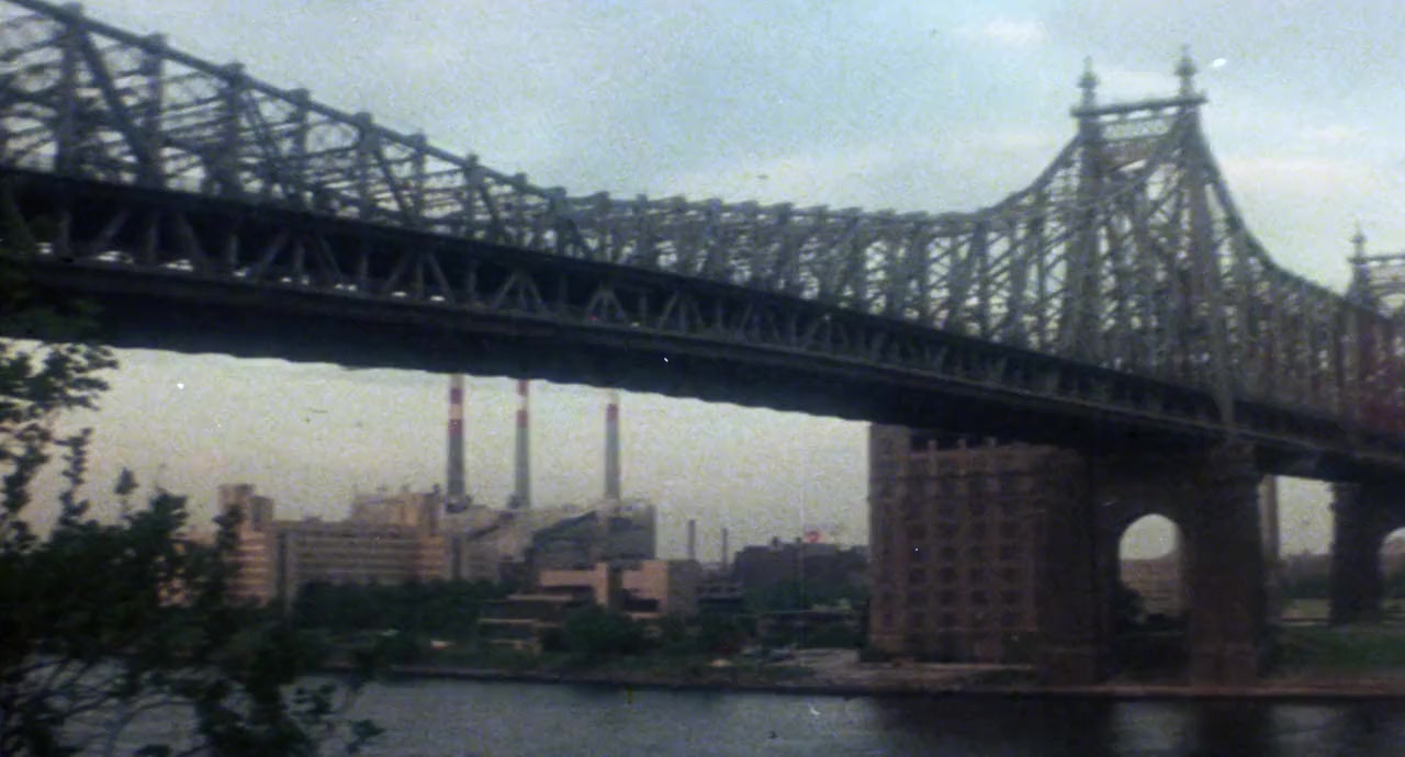 Sunnyside screenshot 3