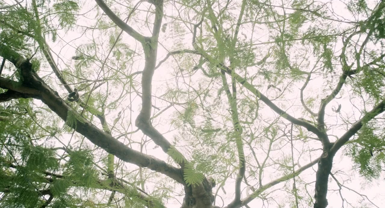 Sunshine of My Life screenshot 1
