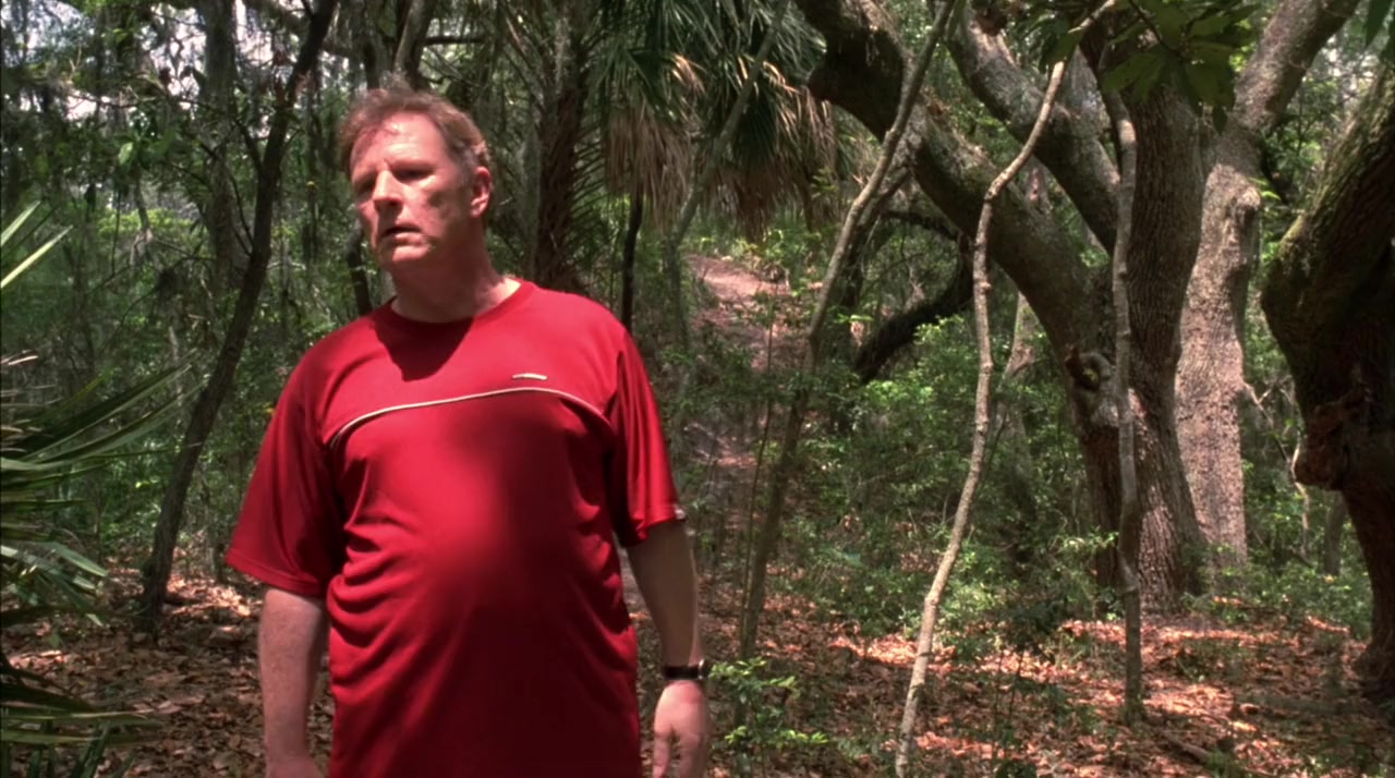 Sunshine State screenshot 1
