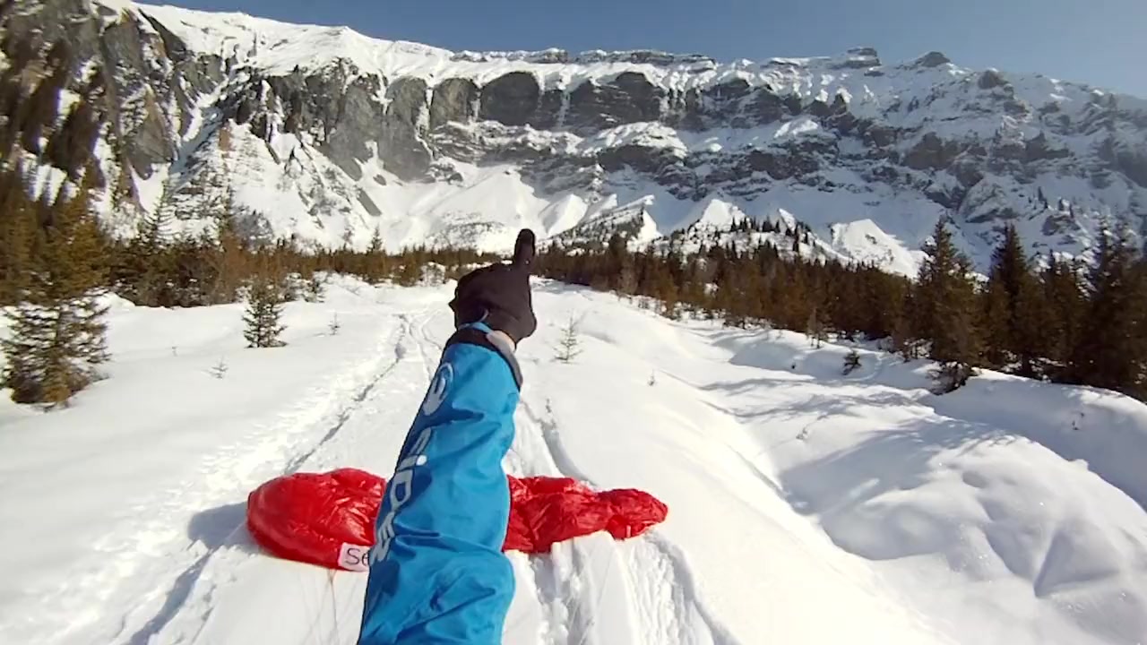 Super Frenchie screenshot 2