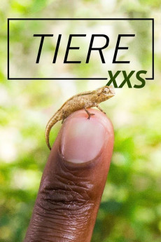 Super Small Animals (2017) poster