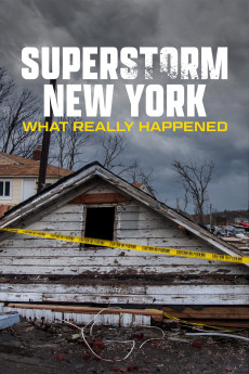 Superstorm New York: What Really Happened (2012) poster