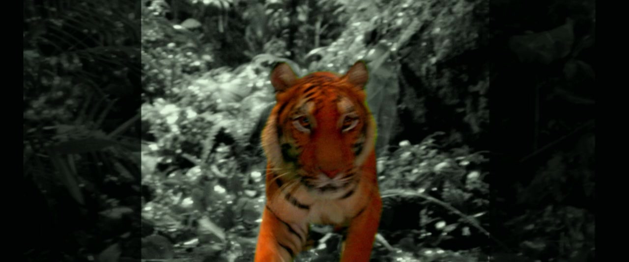 Surrounded screenshot 2