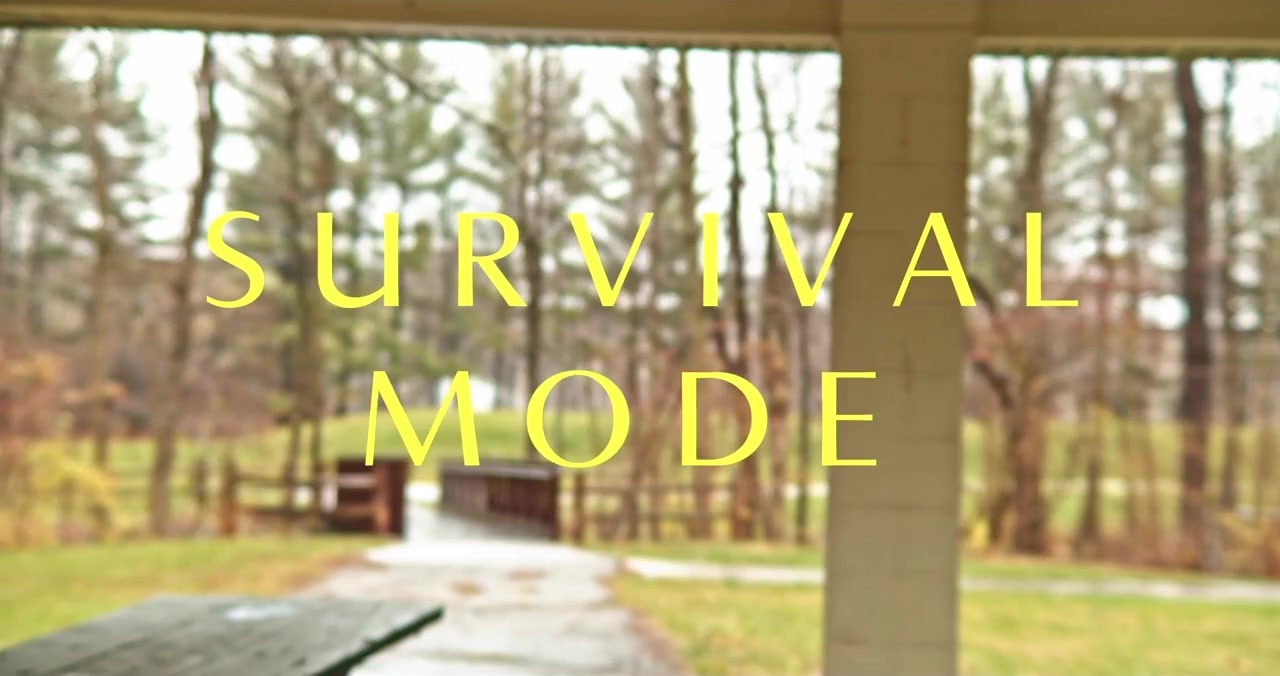 Survival Mode screenshot 3