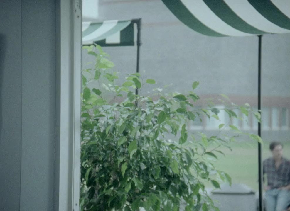 Surviving Desire screenshot 1