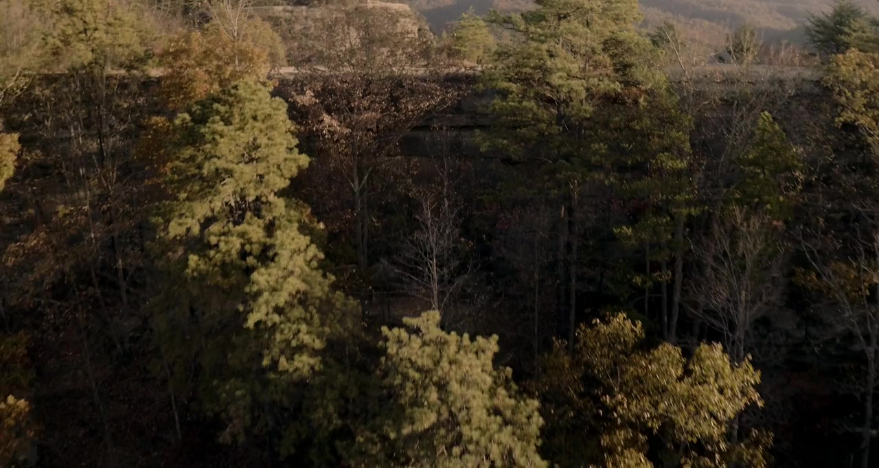 Surviving the Wild screenshot 1