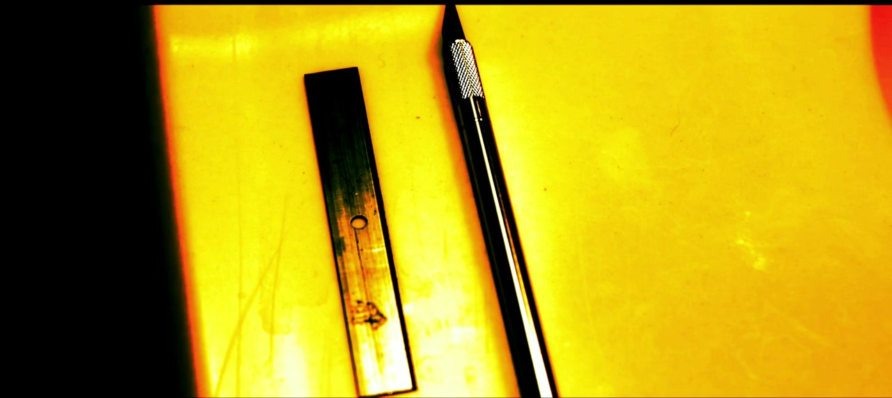 Survivor's Choice screenshot 3