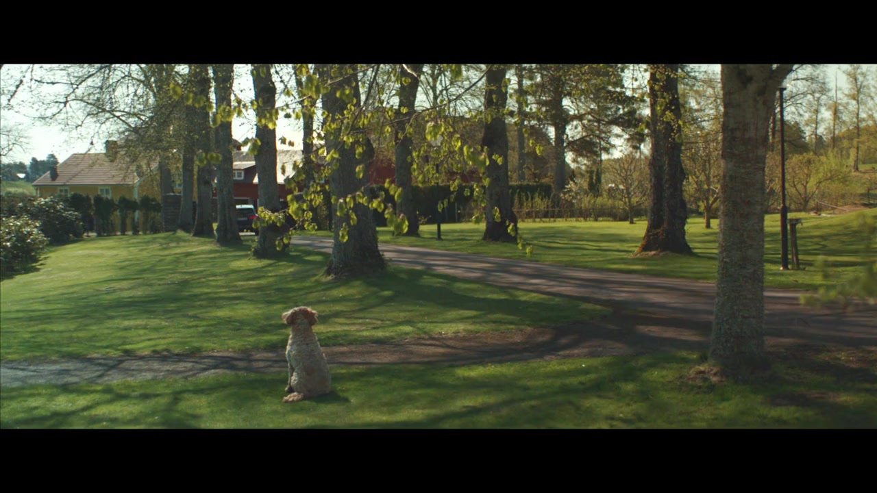 Sven screenshot 2