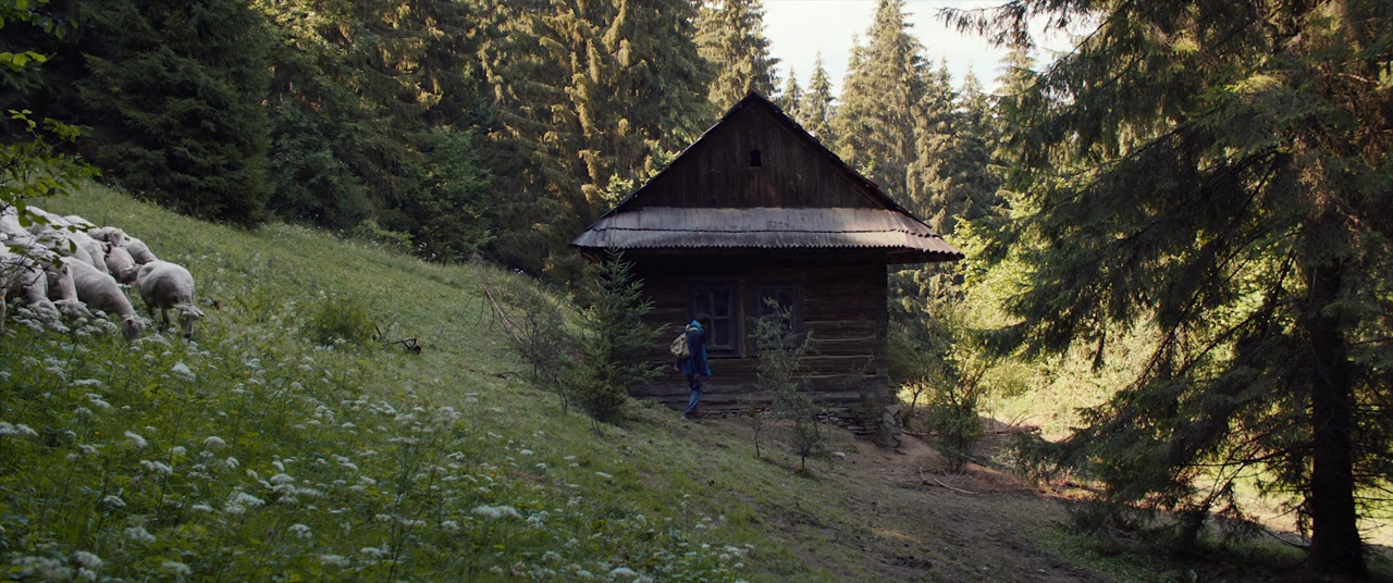 Svetlonoc screenshot 1
