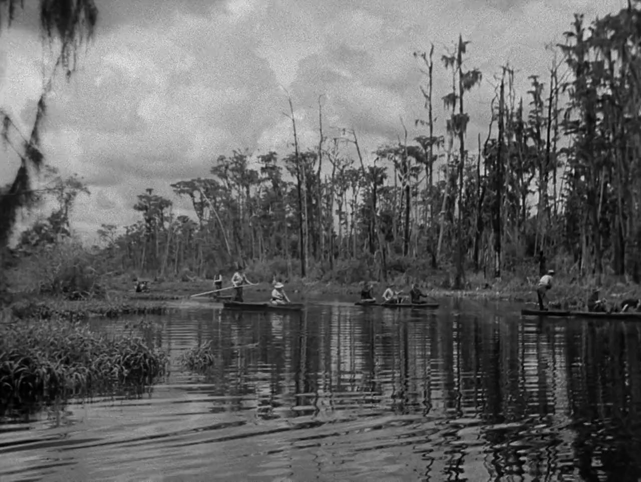 Swamp Water screenshot 1