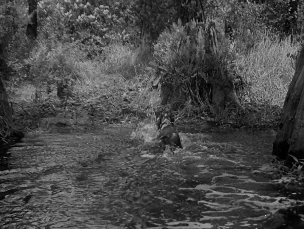 Swamp Water screenshot 2