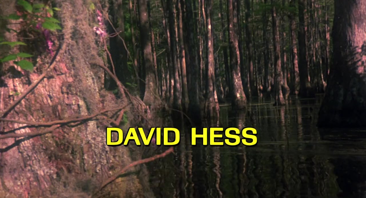 Swamp Thing screenshot 3