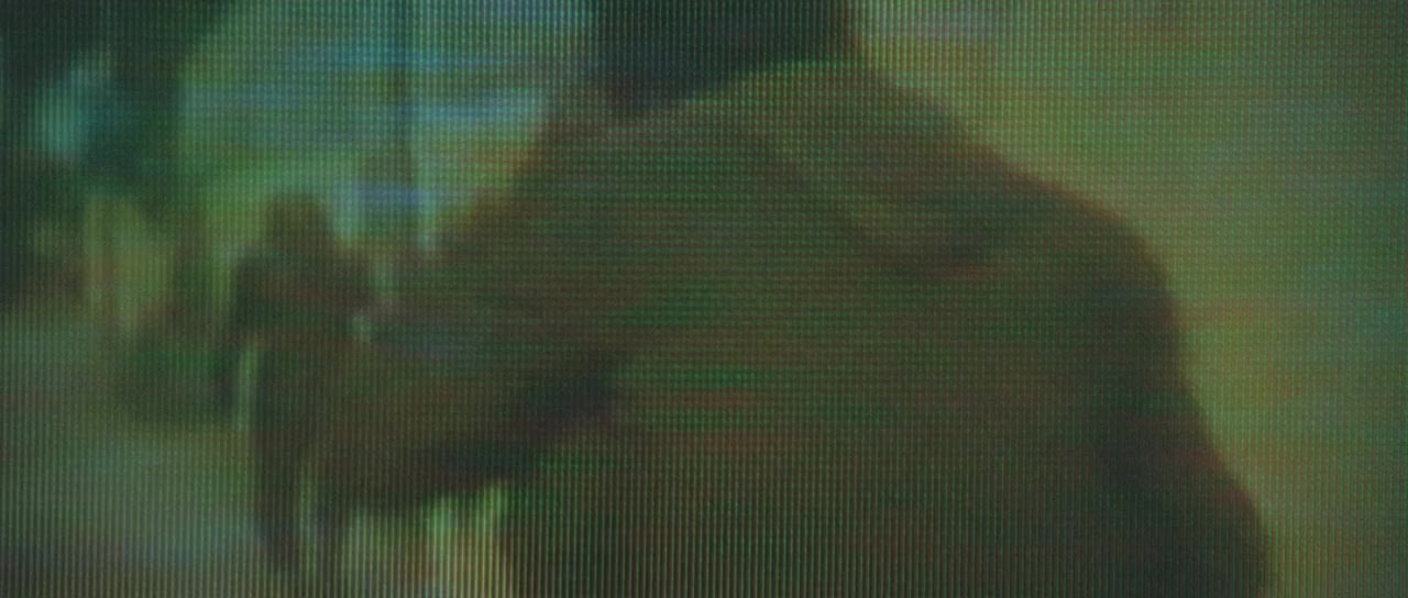 Sweetwater screenshot 2