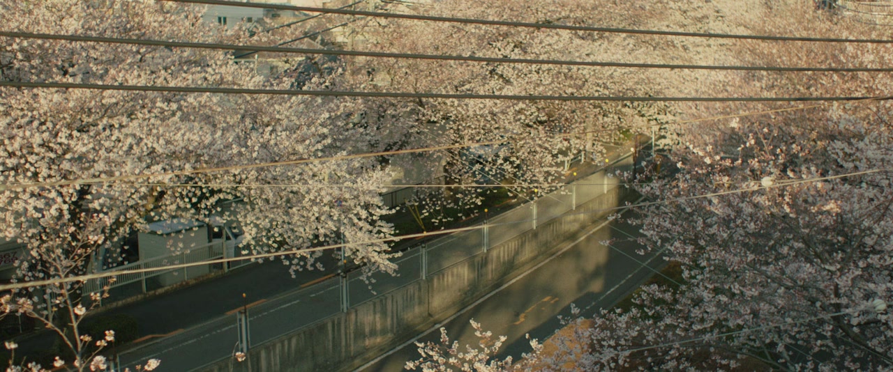 An screenshot 1