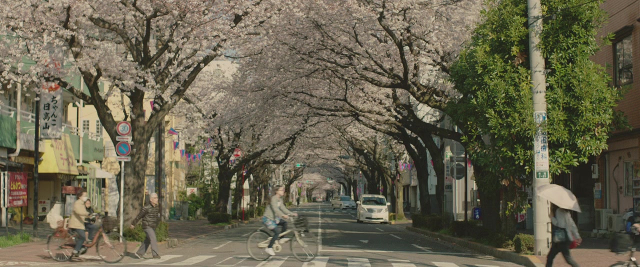 An screenshot 2