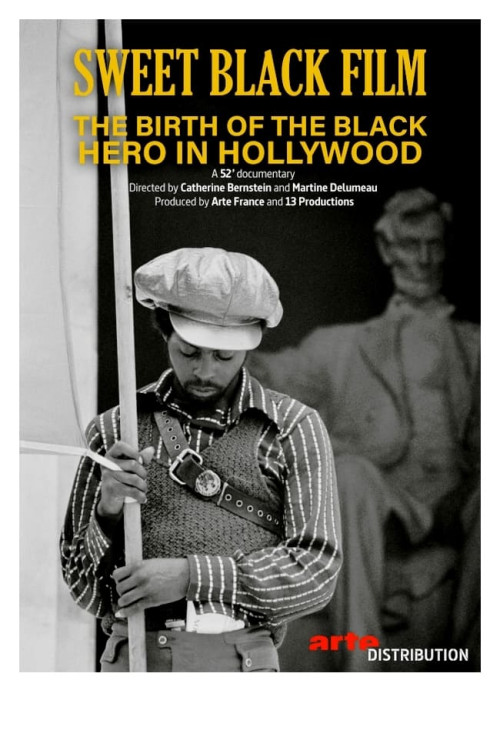 Naissance d'un héros noir au cinéma : Sweet Sweetback (2022) poster