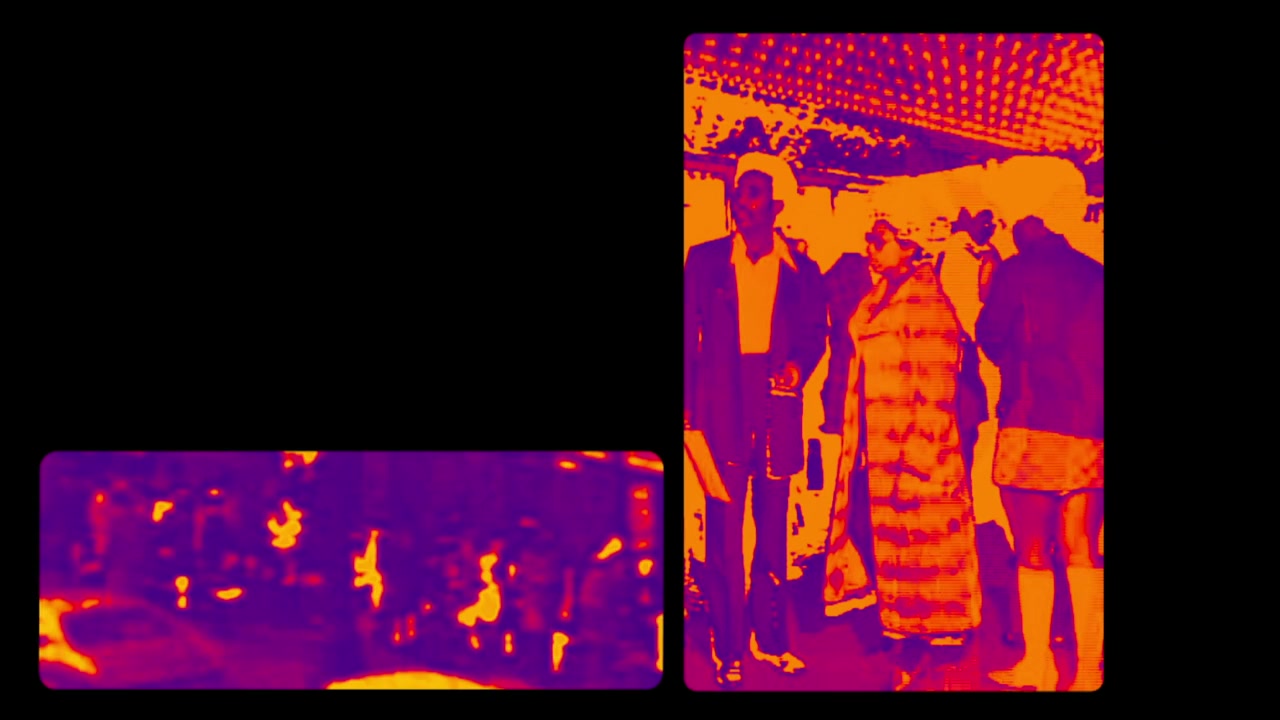 Naissance d'un héros noir au cinéma : Sweet Sweetback screenshot 1