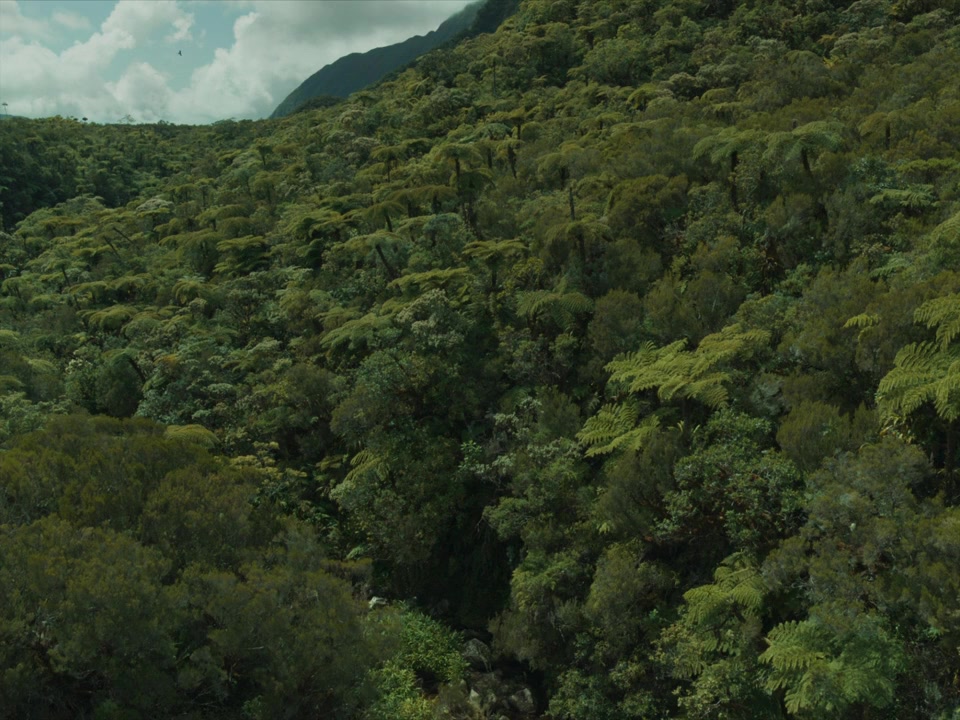 Sweet Dreams screenshot 2