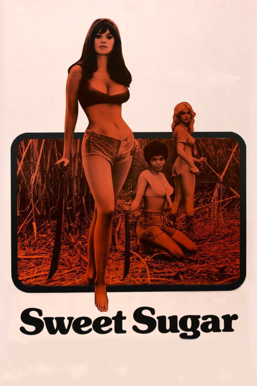 Sweet Sugar (1972) poster