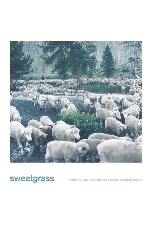 Sweetgrass (2009) poster
