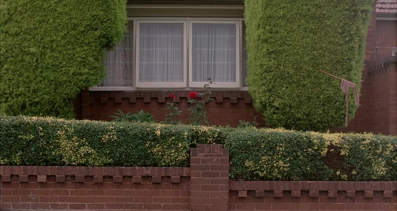 Sweetie screenshot 3