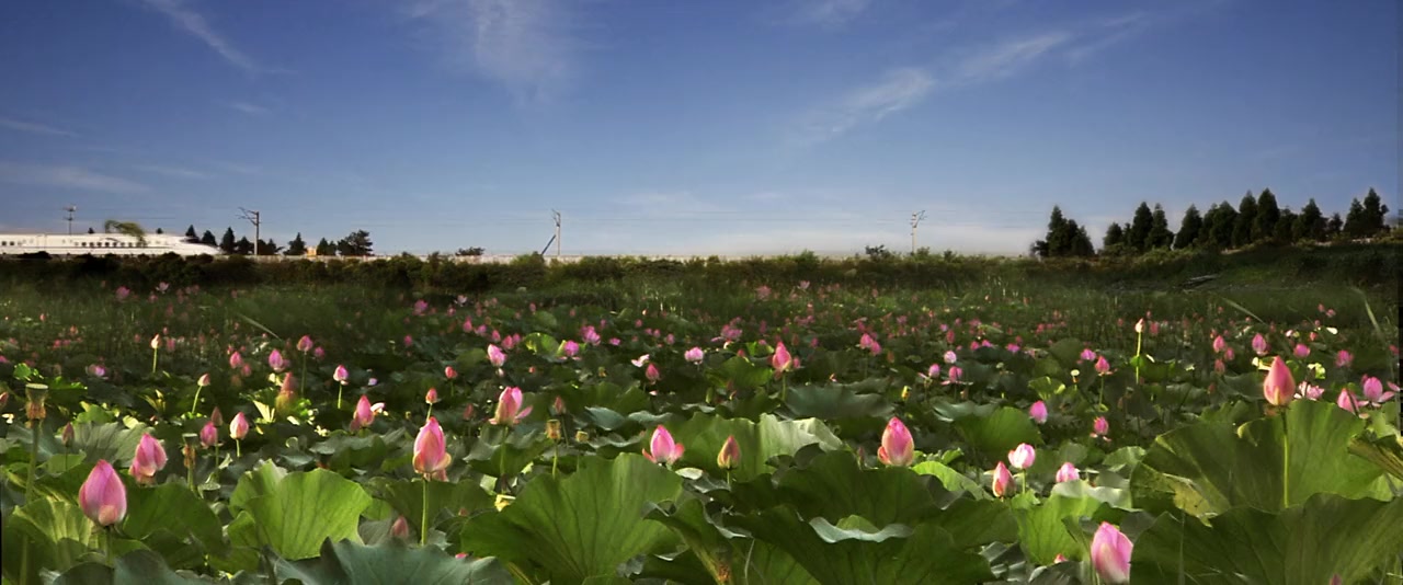Tian ji: Fu chun shan ju tu screenshot 3