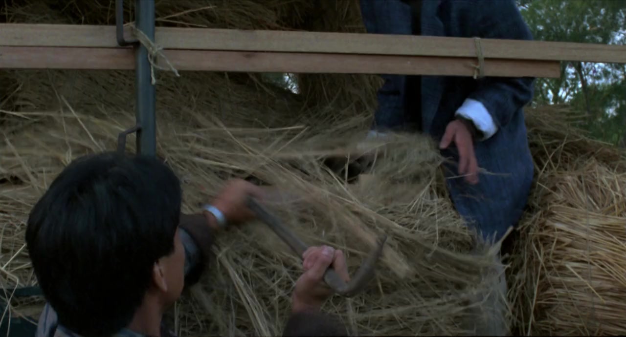 Gan dan xiang zhao screenshot 3